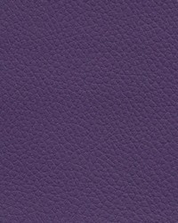 Caprina Island 536 Blush Purple by   