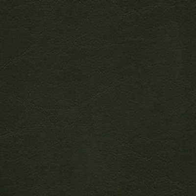 Futura Vinyls Spectrum Evergreen in Spectrum Green Upholstery Virgin  Blend Fire Rated Fabric CA 117  Marine and Auto Vinyl  Fabric