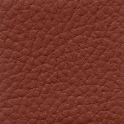 Futura Vinyls Xtreme 608 Saddle in Xtreme Brown Upholstery with  Blend Fire Rated Fabric CA 117  Marine and Auto Vinyl Commercial Vinyl  Fabric