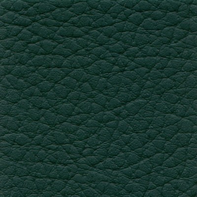 Futura Vinyls Xtreme 613 Forest Green in Xtreme Green Upholstery with  Blend Fire Rated Fabric CA 117  Marine and Auto Vinyl Commercial Vinyl  Fabric