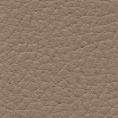 Futura Vinyls Xtreme 616 Wheat in Xtreme Upholstery with  Blend Fire Rated Fabric CA 117  Marine and Auto Vinyl Commercial Vinyl  Fabric