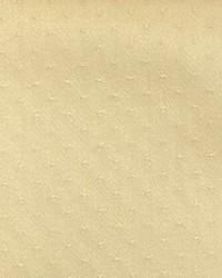 Hot Dots Treasure by   