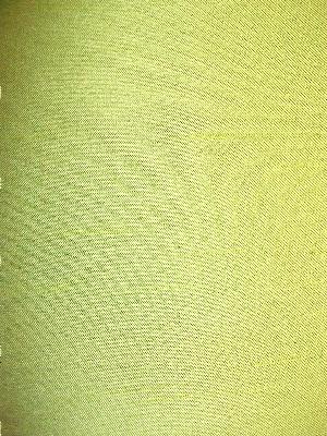 Gabe Humphries Karina Lime in Best of Karina Green Drapery Polyester Solid Faux Silk  Solid Green   Fabric