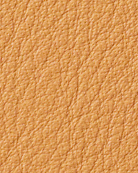 Avion Butterscotch Leather by   