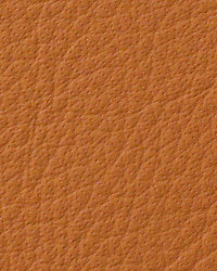 Avion British Tan Leather by   