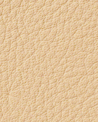 Avion Champagne Leather by   