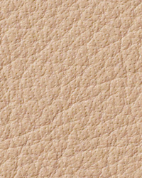 Avion Driftwood Leather by   