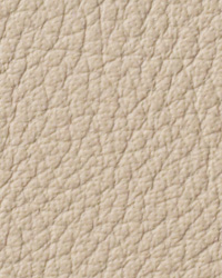 Avion Chambray Leather by   