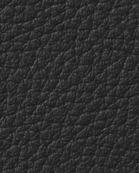 Avion Coal Leather by   