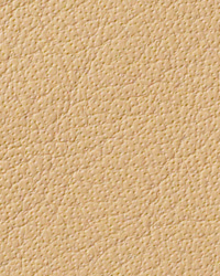 Avion Maize Leather by   