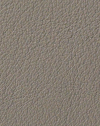 Avion Sandstone Leather by   