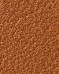 Avion Canyon Leather by   