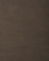 Allura Earl Gray AL7486 Nubuck Leather by   