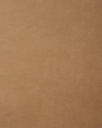 Allura Spiced Cider AL7418 Nubuck Leather by   