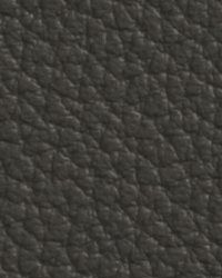 Avion Storm Cloud by   