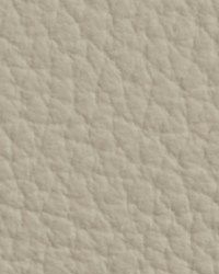 Avion Winter White by   