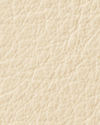 Berkshire White Sand Leather by   