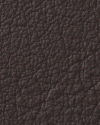 Berkshire Espresso Leather by   
