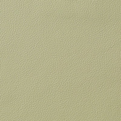 Garrett Leather Berkshire Celery Leather in Berkshire Leather Green Leather Fire Rated Fabric