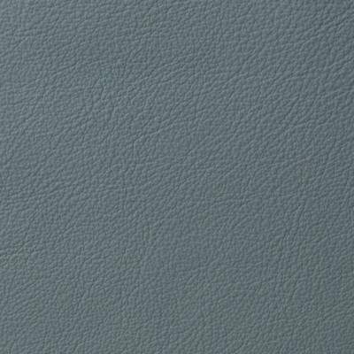 Garrett Leather Berkshire Glacier Leather in Berkshire Leather Grey Leather Fire Rated Fabric Italian Leather Solid Leather HIdes  Fabric