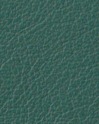 Berkshire Wintergreen Leather by   