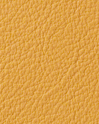 Berkshire Mustard Leather by   