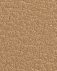 Chatham Beige Leather by   