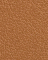 Chatham Camel Leather by   