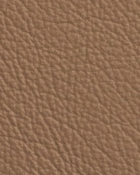 Chatham Taupe Leather by   