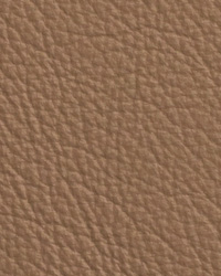 Chatham Taupe Leather by   