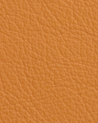 Chatham Ginger Leather by   