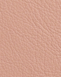 Chatham Pink Parfait Leather by   