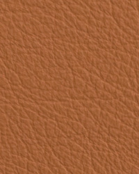 Chatham Cappuccino Leather by   