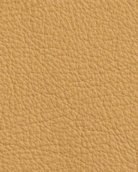 Chatham Cornsilk Leather by   