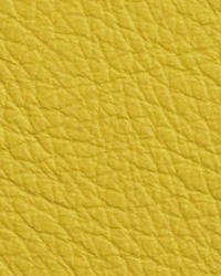 Chatham Chartreuse Leather by   