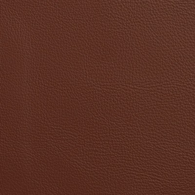 Garrett Leather Caressa Cinnamon Leather in Caressa Leather Red Leather Fire Rated Fabric Solid Leather HIdes Italian Leather  Fabric