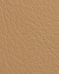 Caressa Parchment Leather by   