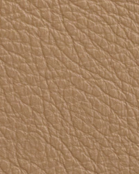 Caressa Sable Leather by   