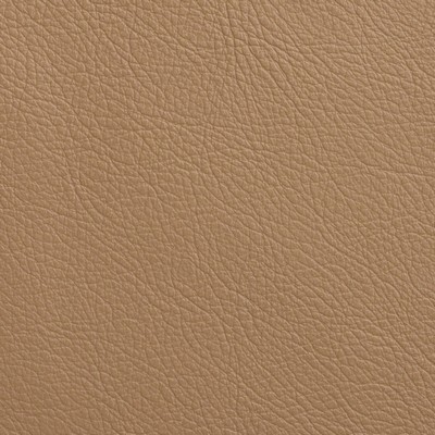Garrett Leather Caressa Sable Leather in Caressa Leather Leather Fire Rated Fabric Solid Leather HIdes Italian Leather  Fabric