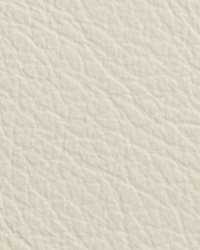 Caressa White Leather by   