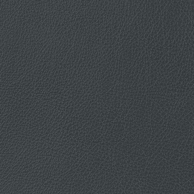 Garrett Leather Caressa Pewter Leather in Caressa Leather Blue Leather Fire Rated Fabric Solid Leather HIdes Italian Leather  Fabric
