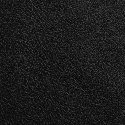 Garrett Leather Caressa Onyx Leather in Caressa Leather Black Leather Fire Rated Fabric Solid Leather HIdes Italian Leather  Fabric