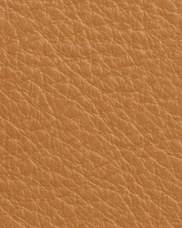 Caressa Fawn Leather by   