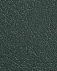 Caressa Seagrass Leather by   