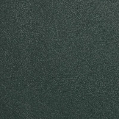 Garrett Leather Caressa Seagrass Leather in Caressa Leather Green Leather Fire Rated Fabric Italian Leather Solid Leather HIdes Solid Leather HIdes Italian Leather  Fabric