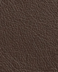 Caressa Coffee Leather by   