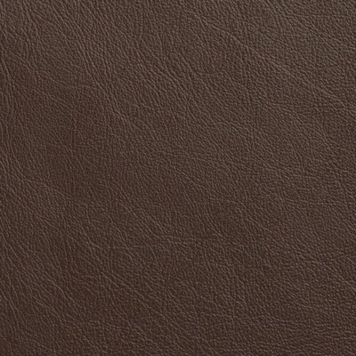 Garrett Leather Caressa Coffee Leather in Caressa Leather Brown Leather Fire Rated Fabric Solid Leather HIdes Italian Leather  Fabric