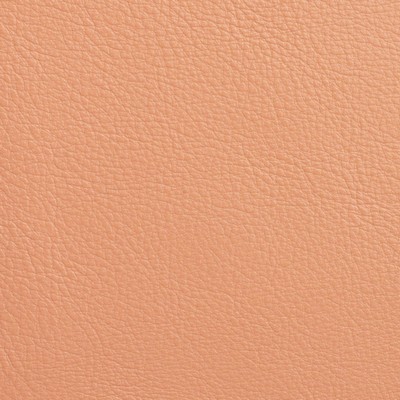Garrett Leather Caressa Coral Leather in Caressa Leather Orange Leather Fire Rated Fabric Solid Leather HIdes Solid Leather HIdes Italian Leather  Fabric