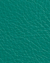 Caressa Teal Leather by   