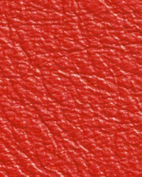 Caressa Red Leather by   